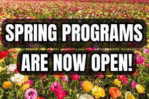 Spring Programs